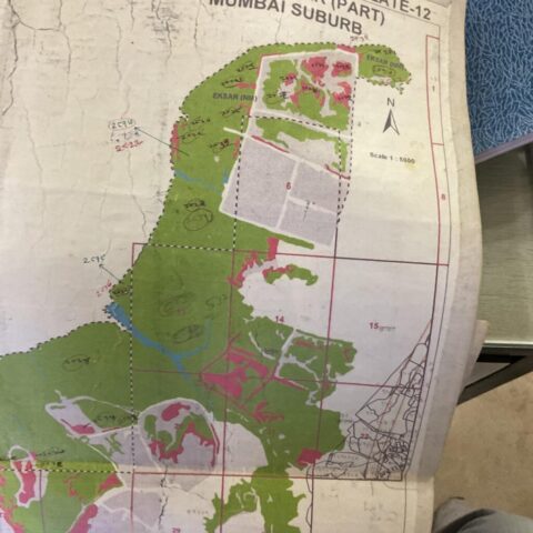 WhatsApp Image 2025-07-22 at 8.46.56 AM