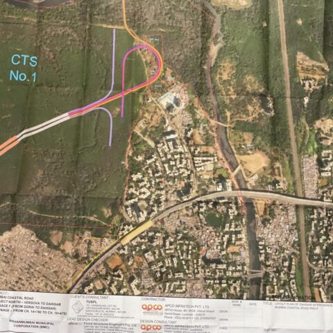 WhatsApp Image 2025-07-25 at 8.15.56 PM (1)