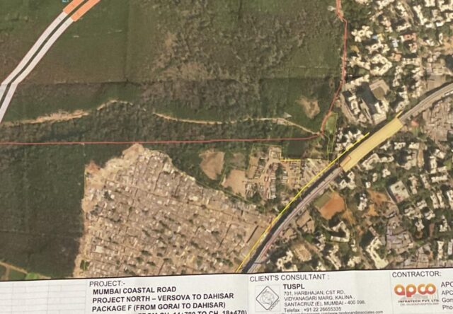 WhatsApp Image 2025-07-25 at 8.15.58 PM (1)